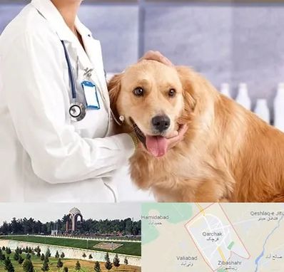 کلینیک دامپزشکی شبانه روزی در قرچک