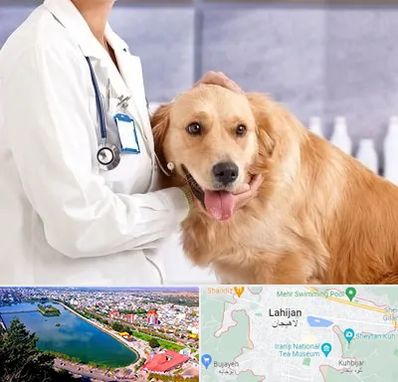 کلینیک دامپزشکی شبانه روزی در لاهیجان