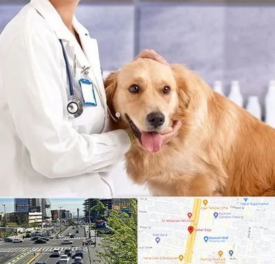 کلینیک دامپزشکی شبانه روزی در ستاری