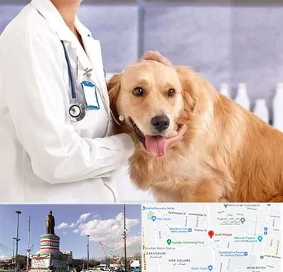 کلینیک دامپزشکی شبانه روزی در کارگر جنوبی