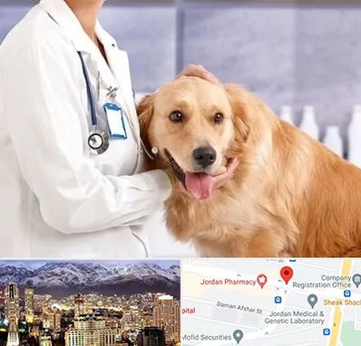 کلینیک دامپزشکی شبانه روزی در جردن