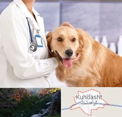 کلینیک دامپزشکی شبانه روزی در کوهدشت
