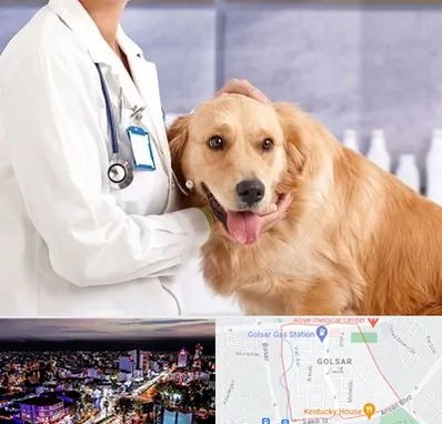 کلینیک دامپزشکی شبانه روزی در گلسار رشت