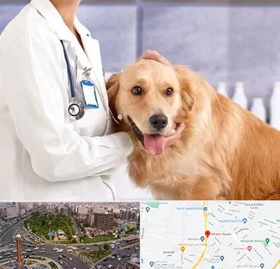 کلینیک دامپزشکی شبانه روزی در سبلان