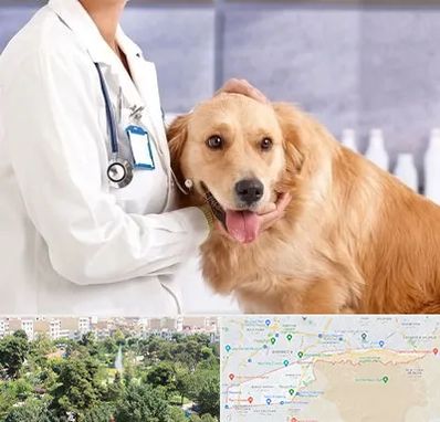 کلینیک دامپزشکی شبانه روزی در منطقه 13 تهران