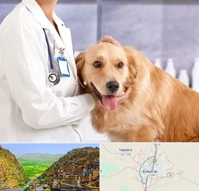 کلینیک دامپزشکی شبانه روزی در کامیاران
