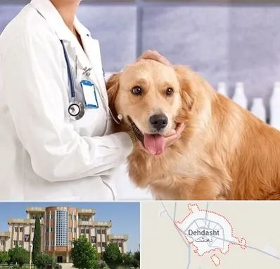 کلینیک دامپزشکی شبانه روزی در دهدشت