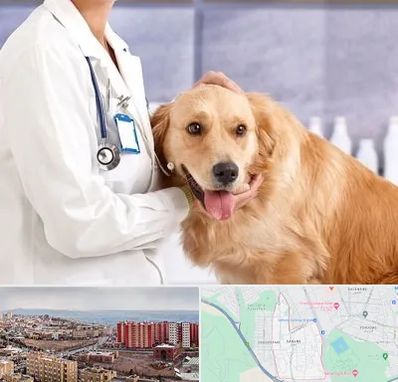 کلینیک دامپزشکی شبانه روزی در سهند تبریز