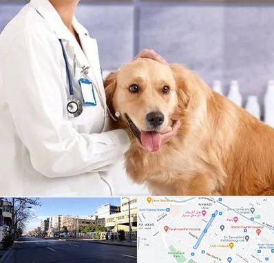 کلینیک دامپزشکی شبانه روزی در خیابان ملاصدرا شیراز