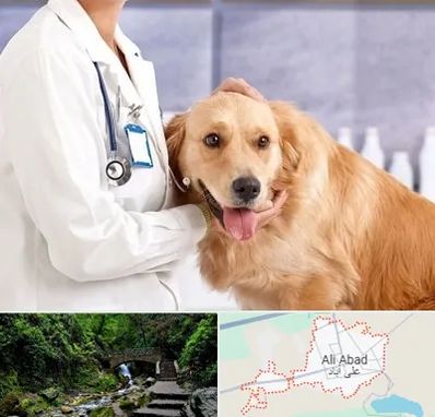 کلینیک دامپزشکی شبانه روزی در علی آباد کتول