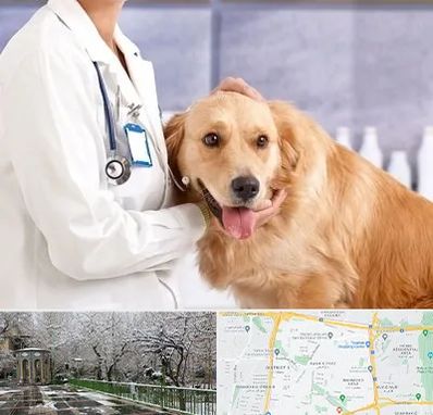 کلینیک دامپزشکی شبانه روزی در باغ فیض