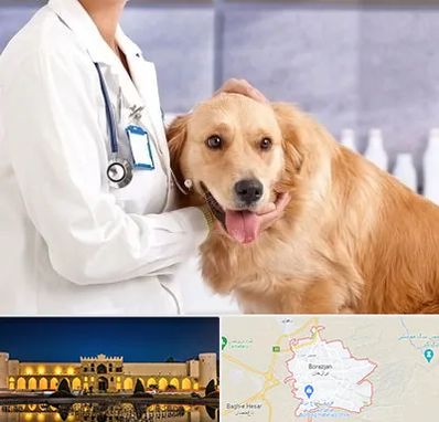 کلینیک دامپزشکی شبانه روزی در برازجان