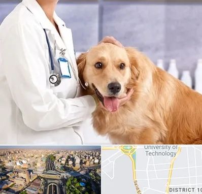 کلینیک دامپزشکی شبانه روزی در استاد معین