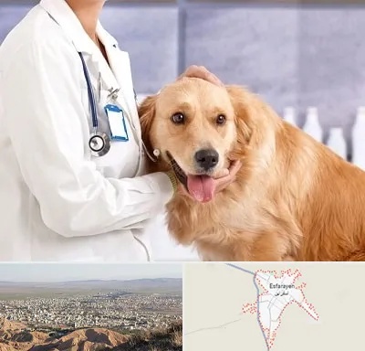 کلینیک دامپزشکی شبانه روزی در اسفراین