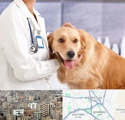 کلینیک دامپزشکی شبانه روزی در جنوب شرق تهران