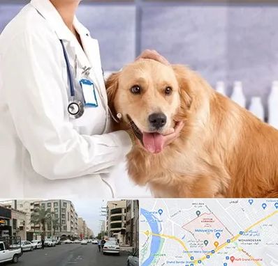 کلینیک دامپزشکی شبانه روزی در زیتون کارمندی اهواز