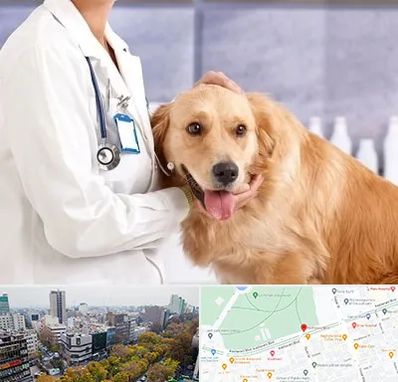 کلینیک دامپزشکی شبانه روزی در بلوار کشاورز