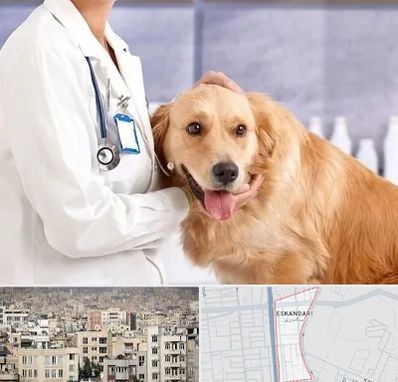 کلینیک دامپزشکی شبانه روزی در اسکندری