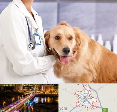 کلینیک دامپزشکی شبانه روزی در سقز