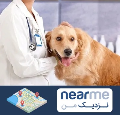 کلینیک دامپزشکی شبانه روزی در نزدیک من