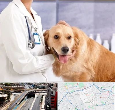 کلینیک دامپزشکی شبانه روزی در ستارخان شیراز