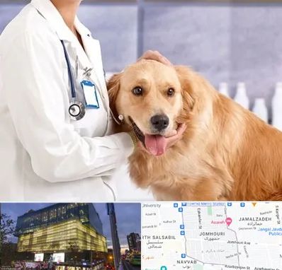 کلینیک دامپزشکی شبانه روزی در جمهوری