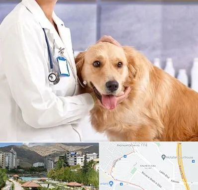 کلینیک دامپزشکی شبانه روزی در شهر زیبا