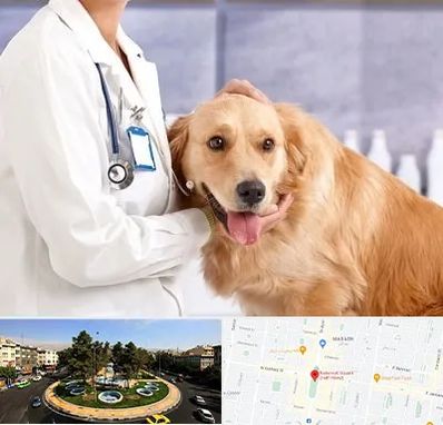 کلینیک دامپزشکی شبانه روزی در هفت حوض