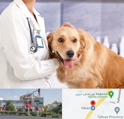 کلینیک دامپزشکی شبانه روزی در هروی