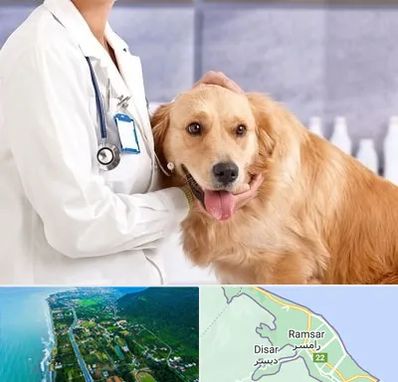کلینیک دامپزشکی شبانه روزی در رامسر
