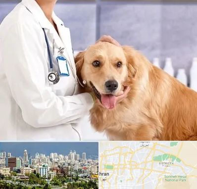 کلینیک دامپزشکی شبانه روزی در شرق تهران