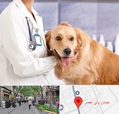 کلینیک دامپزشکی شبانه روزی در ولیعصر شهریار
