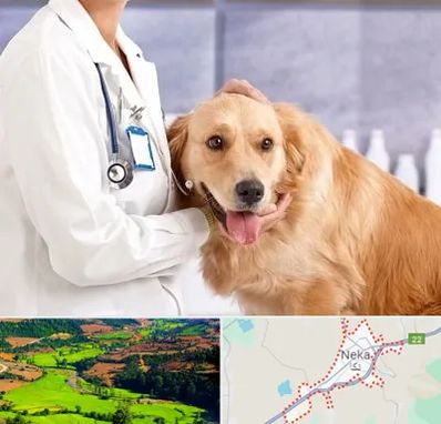 کلینیک دامپزشکی شبانه روزی در نکا