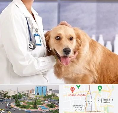 کلینیک دامپزشکی شبانه روزی در ونک