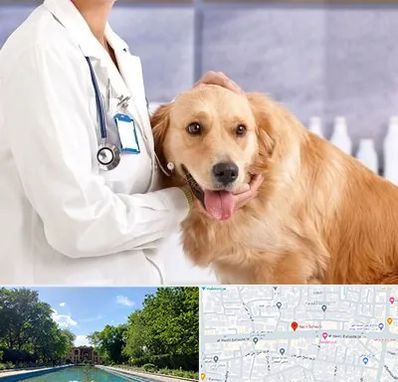 کلینیک دامپزشکی شبانه روزی در هشت بهشت اصفهان