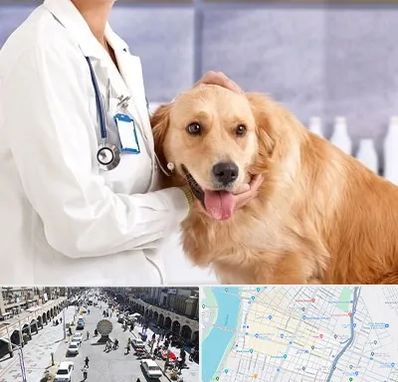 کلینیک دامپزشکی شبانه روزی در نادری اهواز