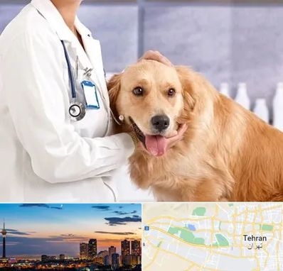 کلینیک دامپزشکی شبانه روزی در غرب تهران