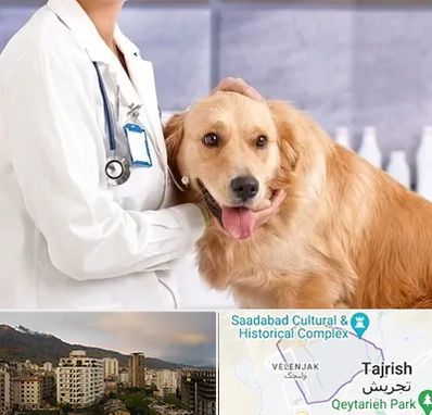 کلینیک دامپزشکی شبانه روزی در زعفرانیه