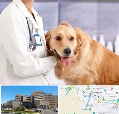 کلینیک دامپزشکی شبانه روزی در صیاد شیرازی مشهد