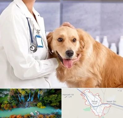 کلینیک دامپزشکی شبانه روزی در دورود