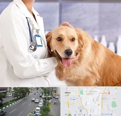 کلینیک دامپزشکی شبانه روزی در ستارخان