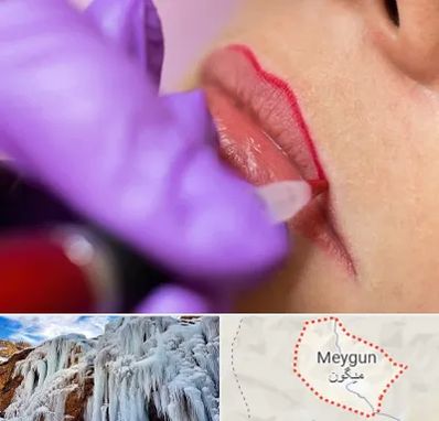 تاتو لب در میگون