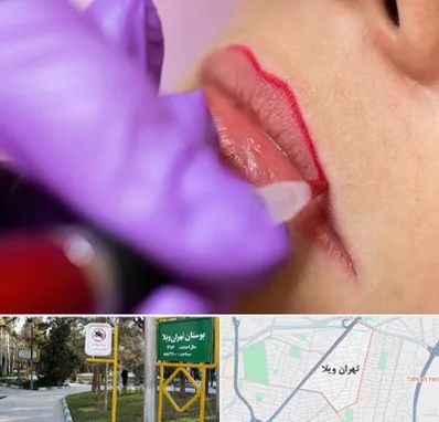 تاتو لب در تهران ویلا