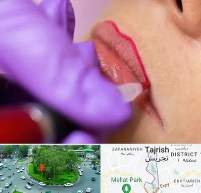 تاتو لب در تجریش 