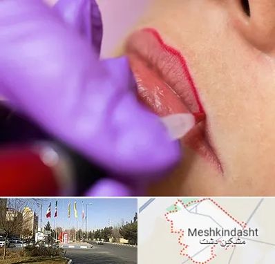 تاتو لب در مشکین دشت