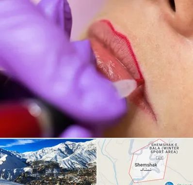 تاتو لب در شمشک