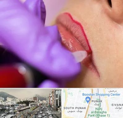 تاتو لب در پونک