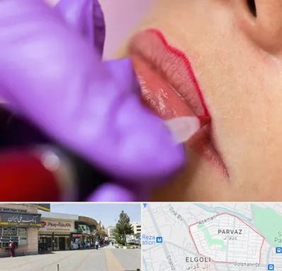 تاتو لب در پرواز تبریز