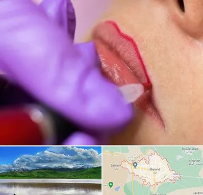 تاتو لب در مرند