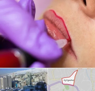 تاتو لب در محمودیه